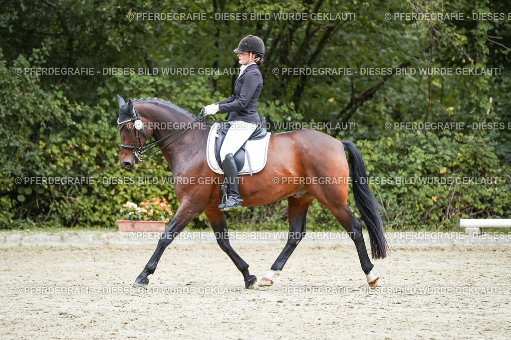 DSC00530 | Pferdegrafie