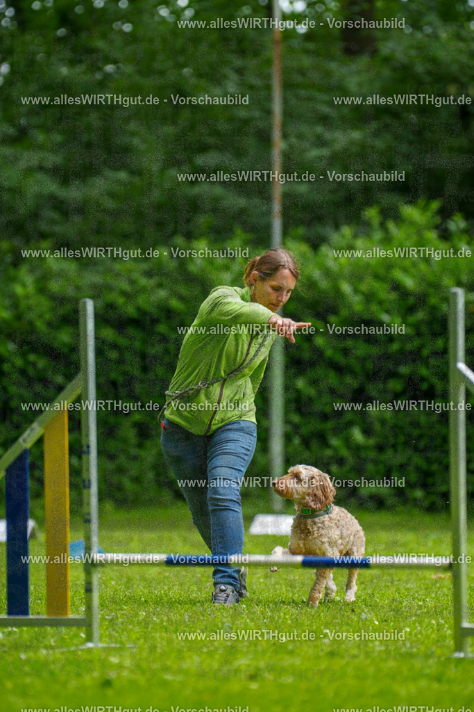 @allesWIRTHgut_Tierfotografie - www.allesWIRTHgut.de - 092128-7R506959 | Professionelle Tierfotografie in Mönchengladbach von Daniel Wirth (allesWIRTHgut). Liebevolle & natürliche Bilder von Hunden & Katzen für unvergessliche Erinnerungen.