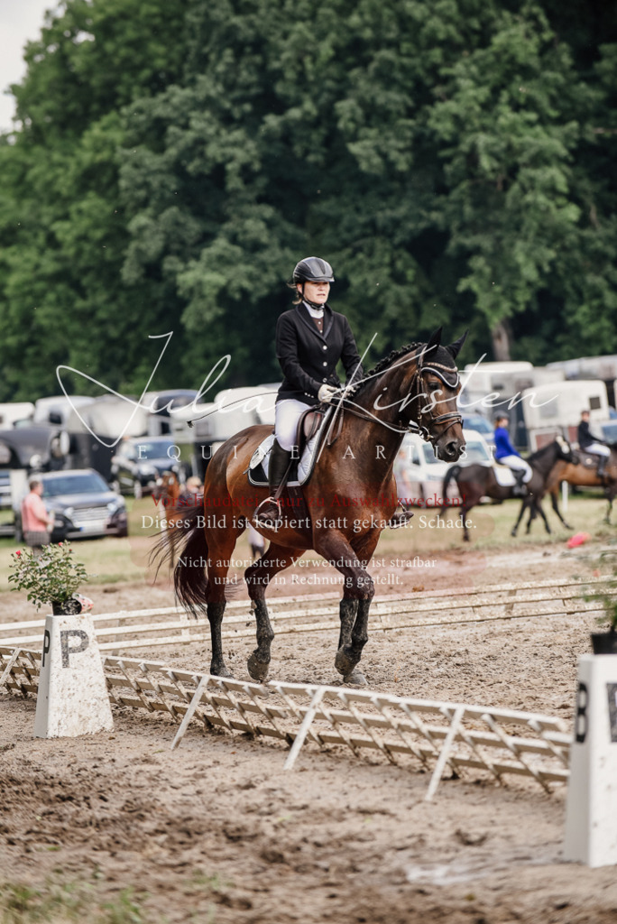 DSC_0766 | Pferde- und Turnierfotografie in Westsachsen. Pferdeportraits, Auftragszeichnungen und intuitive Kunst.