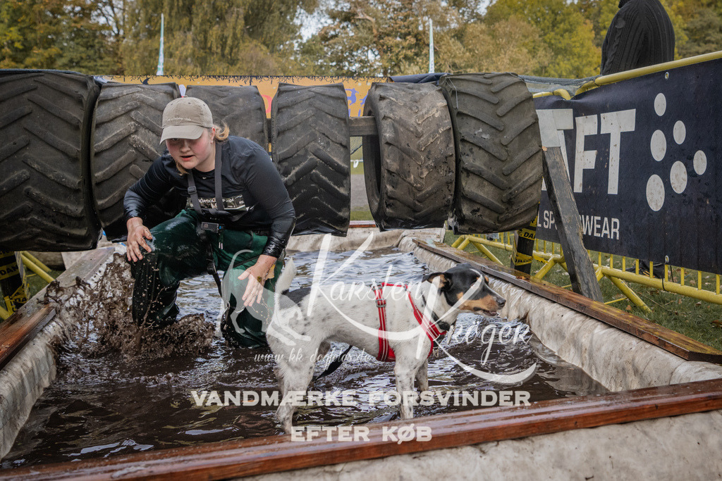 1458_ZZ90772 | kk-dogfotos