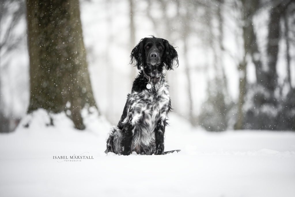 IM_18 | Isabel Marstall Fotografie - Realisiert mit Pictrs.com