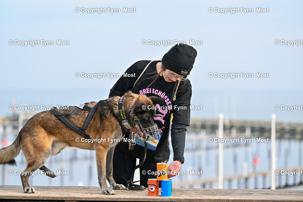 DSC_4887 | Hallo und herzlich Willkommen auf meiner Shop-Seite Fynn Most.

Ich wünsche Dir viel Spaß beim stöbern durch die Bilder, wenn Du Fragen hast oder Bilder vermisst, kannst du mir gerne eine Nachricht schreiben. - Realisiert mit Pictrs.com