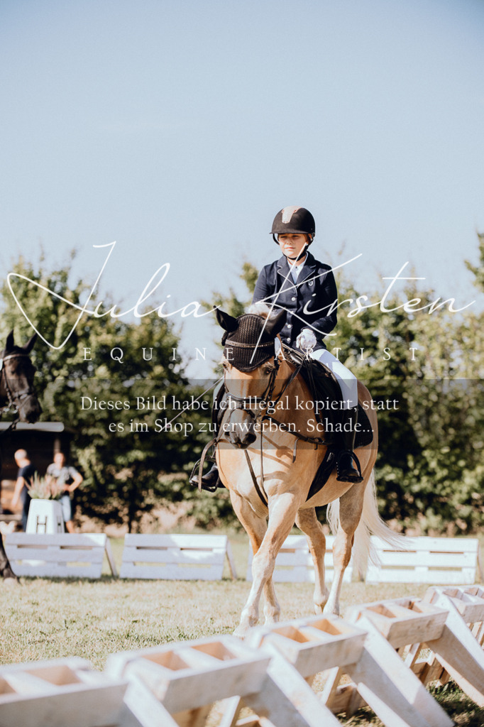 DSC_6864 | Pferde- und Turnierfotografie in Westsachsen. Pferdeportraits, Auftragszeichnungen und intuitive Kunst.