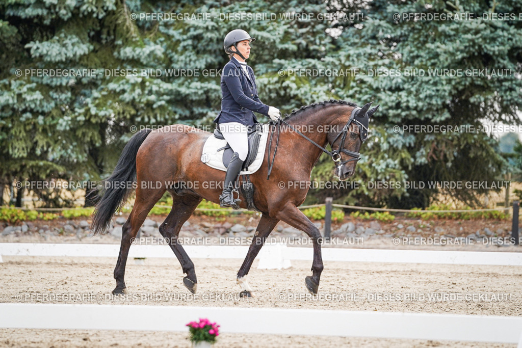 DSC00347 | Pferdegrafie