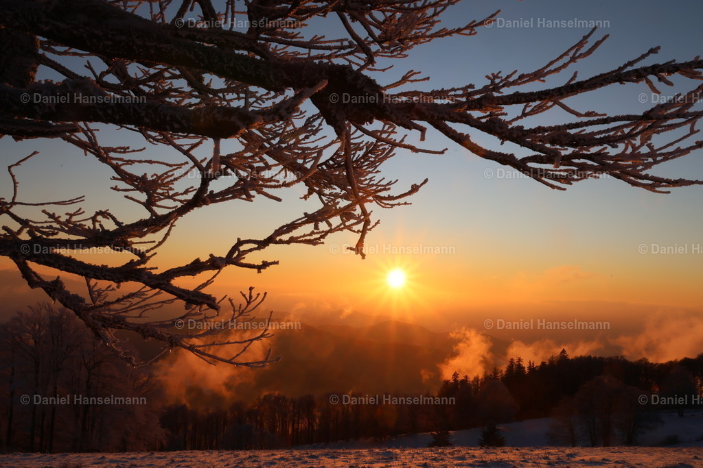 162A3908 | Hier finden Sie Poster, Leinwandfotos sowie viele weitere Fotoprodukte mit Motiven aus dem Schwarzwald, aus Freiburg und dem Kaiserstuhl zum Download und zum Bestellen.  - Realisiert mit Pictrs.com