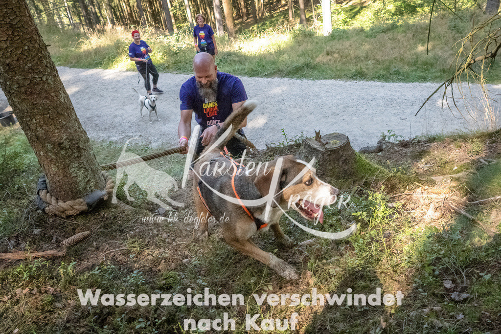 1145_ZZ91967 | kk-dogfotos