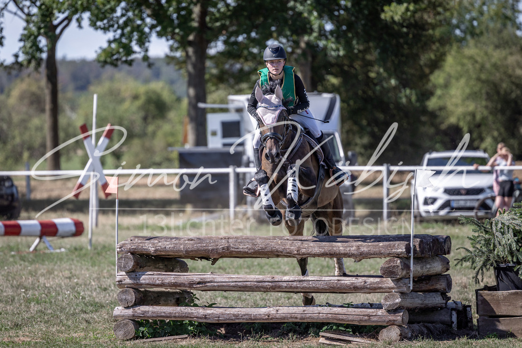 20260906-_3LI5282 | Tierfotografie Pferde, Hunde, Katzen, Haustiere.
Turnierfotografie Reitturniere, Reiten, Springreiten, Dressur in Hanau, dem Main-Kinzig-Kreis und dem Rhein-Main- Gebiet um Frankfurt