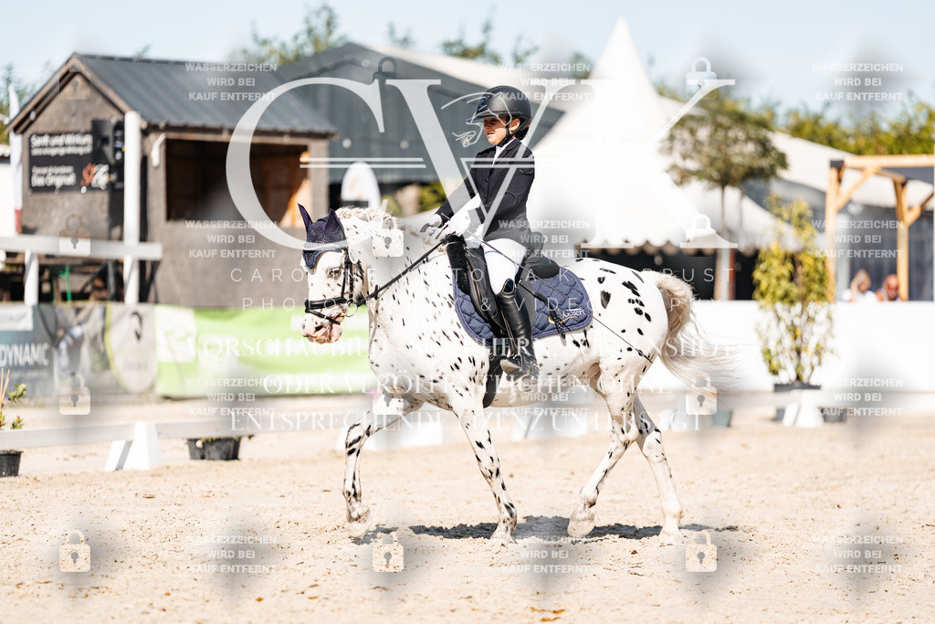 CK908546 | Turnierfotografie Pferdefotografie Trier Rheinland-Pfalz Pferdesport Reitsport Tierfotografie Sportfotografie Pferdevideo Pferdevideografie Equestrianvideography equestrianphotography  - Realisiert mit Pictrs.com