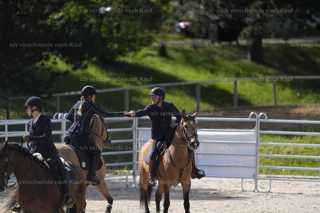PI26_COW_Stoibphotography_DSC5200.JPG | working equitationturnier fotograf videograf stoibphotography marixx film working equitation deutschland reitsport turnierfotografie eventfotografie equestrian events
