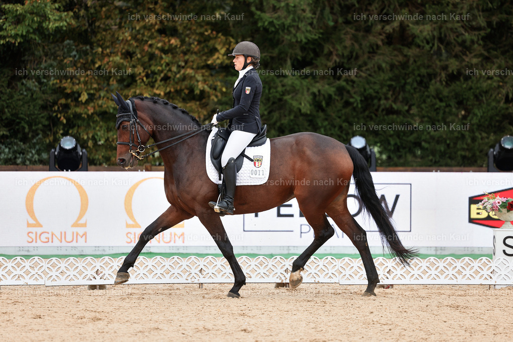 05-011-DRESSUR M_  -StoibPH-4893 | working equitationturnier fotograf videograf stoibphotography marixx film working equitation deutschland reitsport turnierfotografie eventfotografie equestrian events