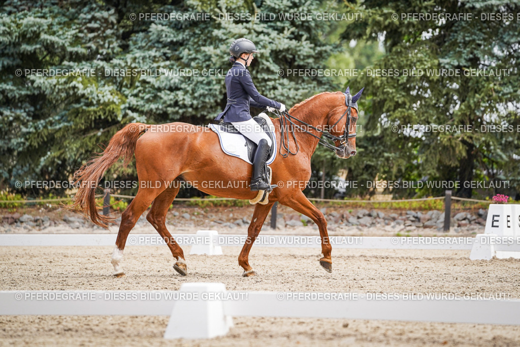 DSC03077 | Pferdegrafie