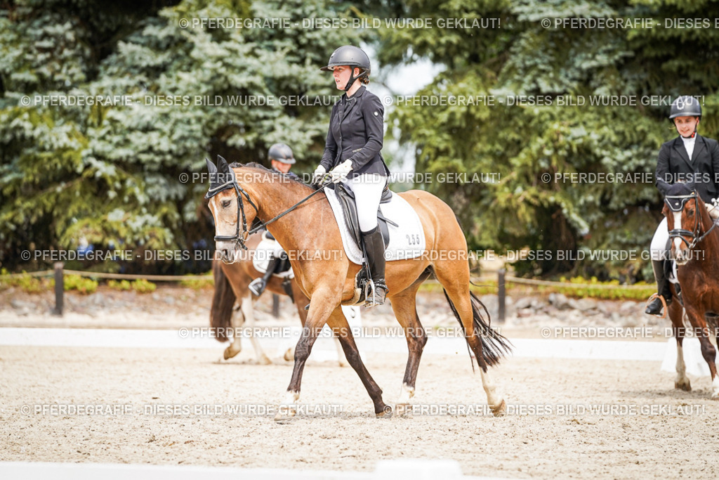 DSC04402 | Pferdegrafie