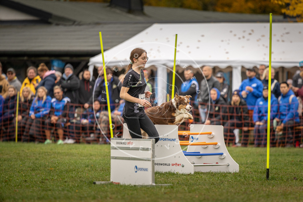 Pfotenfotografie_DV3A6518 | Hundefotografie, Tierfotograf, Pfotenfotografie, Fotoshooting Hund, Hunde Portrait, Hundesport, Hundeportraits, Heideshooting, Hunde, Sportfotograf, Hundefotograf, Turnierhundsport, THS,  - Realisiert mit Pictrs.com