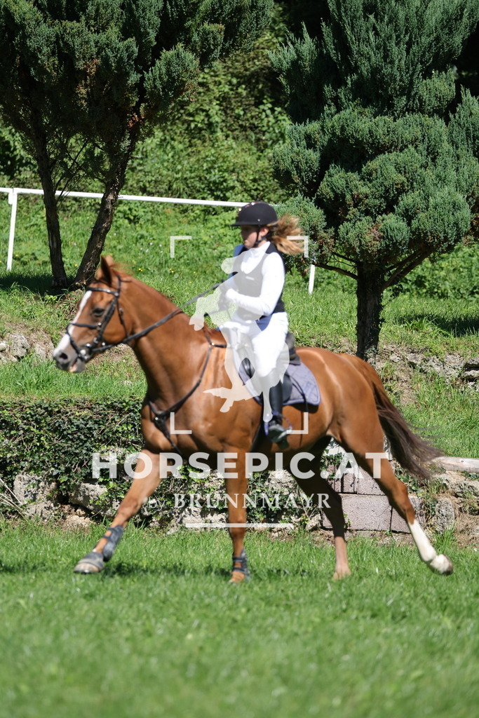 0P6A6481 | Willkommen bei Brunnmayr - Design & Fotografie – Ihrem Spezialisten für Reitturniere und Pferdeveranstaltungen in Oberösterreich, Salzburg und Bayern! Seit über 17 Jahren sind wir leidenschaftlich dabei.