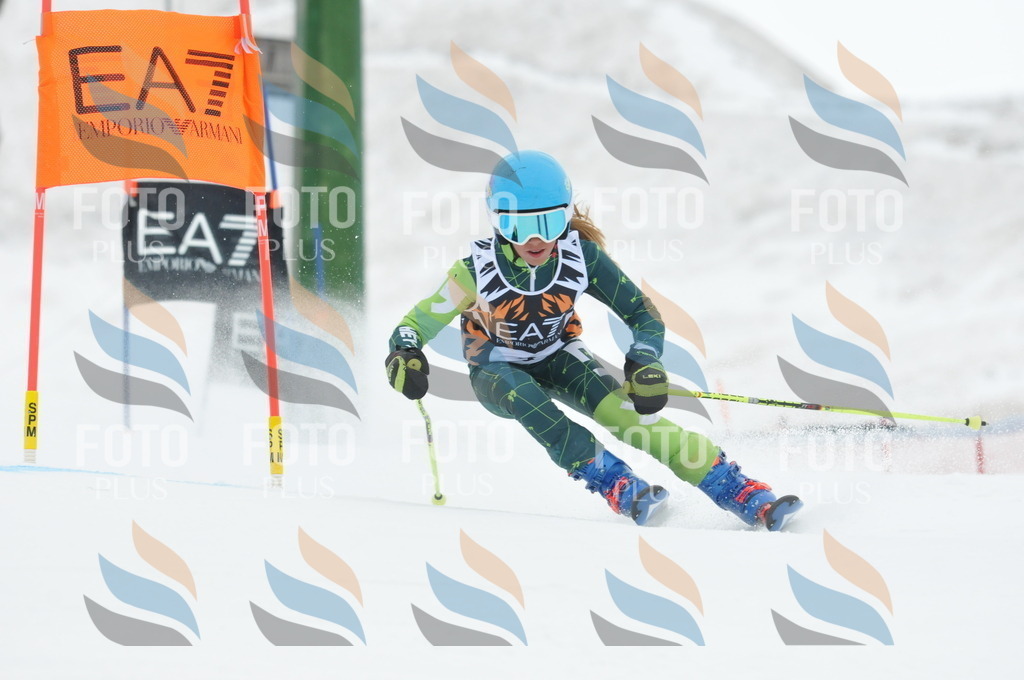 DSC_8765 | holidayphoto