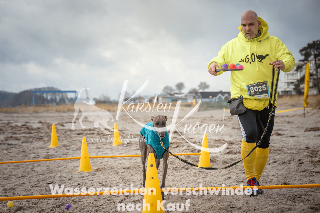 1145_ZZ90735 | kk-dogfotos