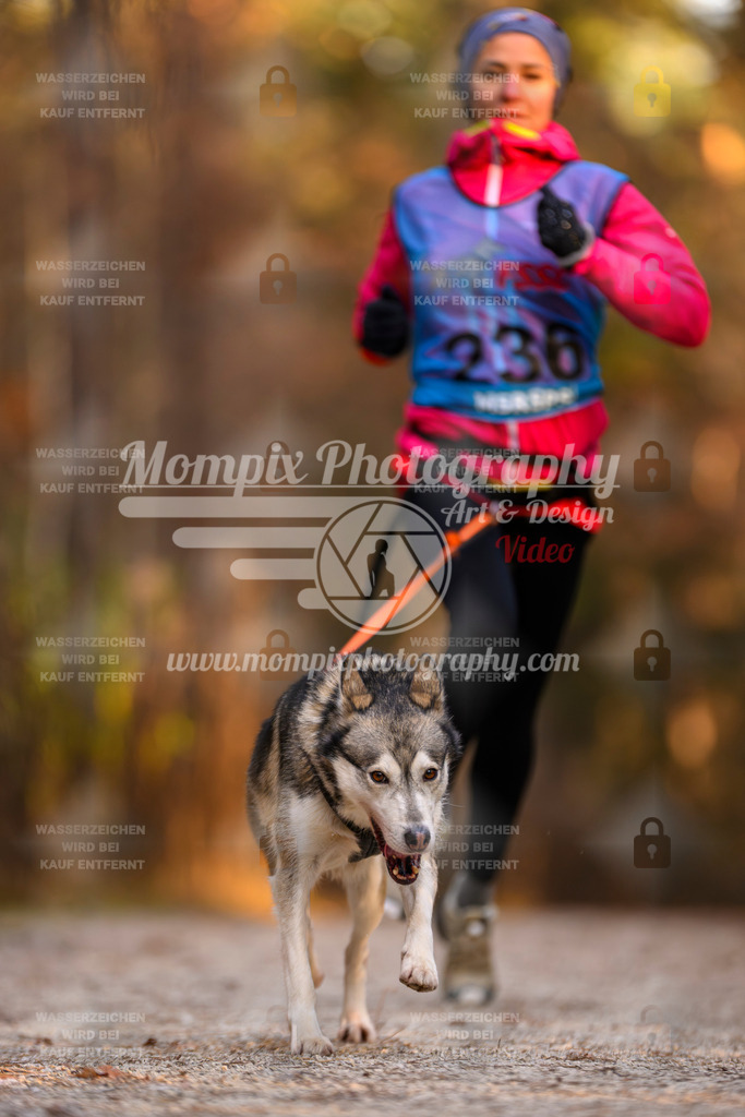 MompixPhotography_DM_AKDM_SO_2025_-85 | PayLife