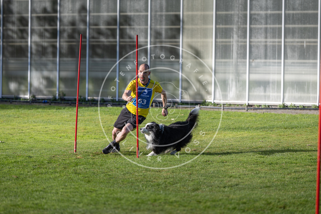 Pfotenfotografie.de_DV3A3456 | Hundefotografie, Tierfotograf, Pfotenfotografie, Fotoshooting Hund, Hunde Portrait, Hundesport, Hundeportraits, Heideshooting, Hunde, Sportfotograf, Hundefotograf, Turnierhundsport, THS, canicross - Realisiert mit Pictrs.com