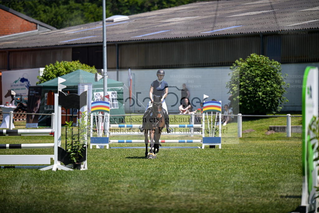 Reitturnier Voxtrup | Entdecke hochwertige Reitturnierfotos von Foto Oger. Professionell, emotional und authentisch – jetzt Lieblingsmomente im Shop bestellen. - Realisiert mit Pictrs.com