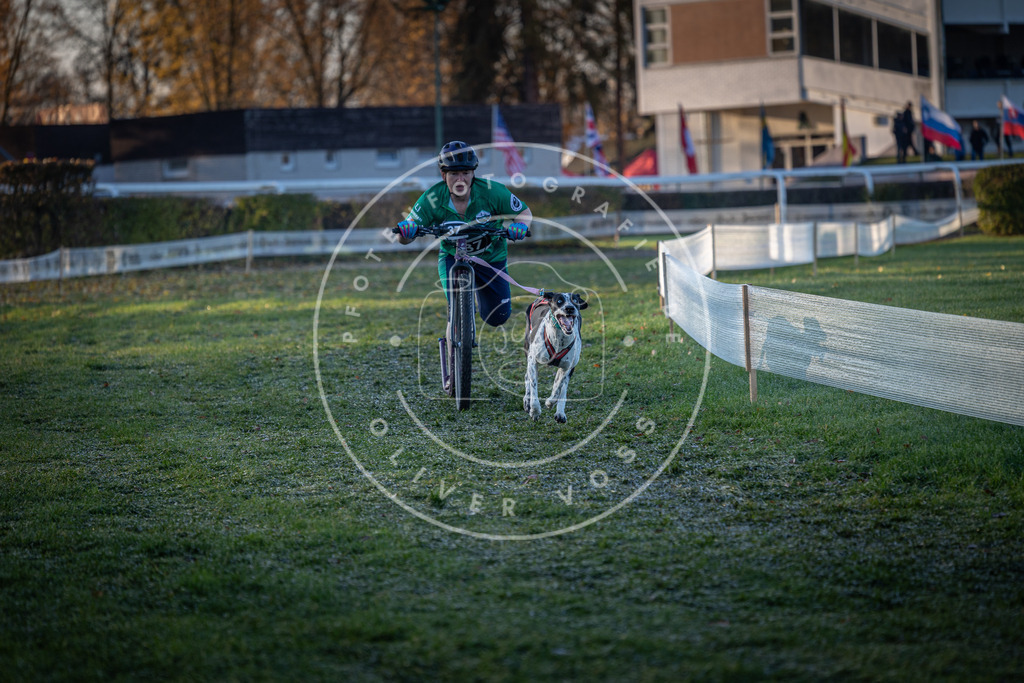 CaniXpix_0L8A1835 | Hundefotografie, Tierfotograf, Pfotenfotografie, Fotoshooting Hund, Hunde Portrait, Hundesport, Hundeportraits, Heideshooting, Hunde, Sportfotograf, Hundefotograf, Turnierhundsport, THS,  - Realisiert mit Pictrs.com