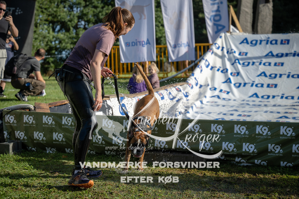 0927_ZZ95547 | kk-dogfotos