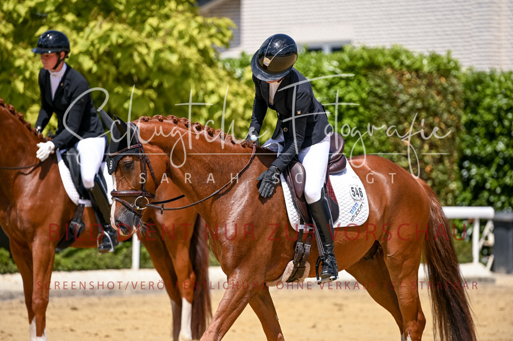 Schugtsche-Aluta25-49.Dressurpferdeprf.A-117 | Schugtsche Fotografie - Realisiert mit Pictrs.com