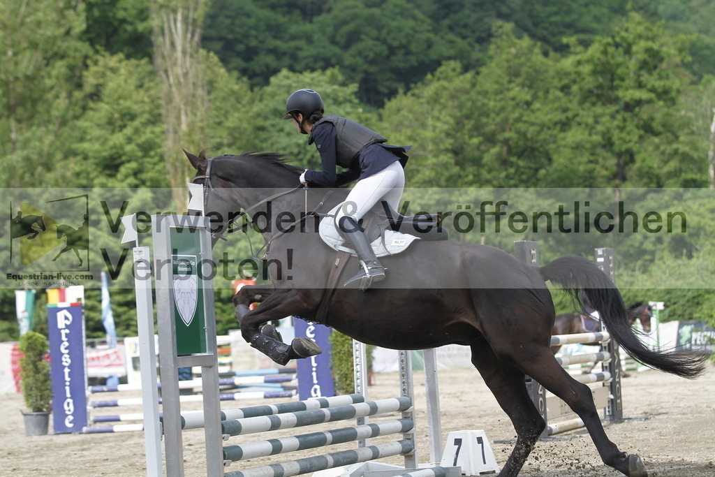 _MG_4529 | equestrian-live-com