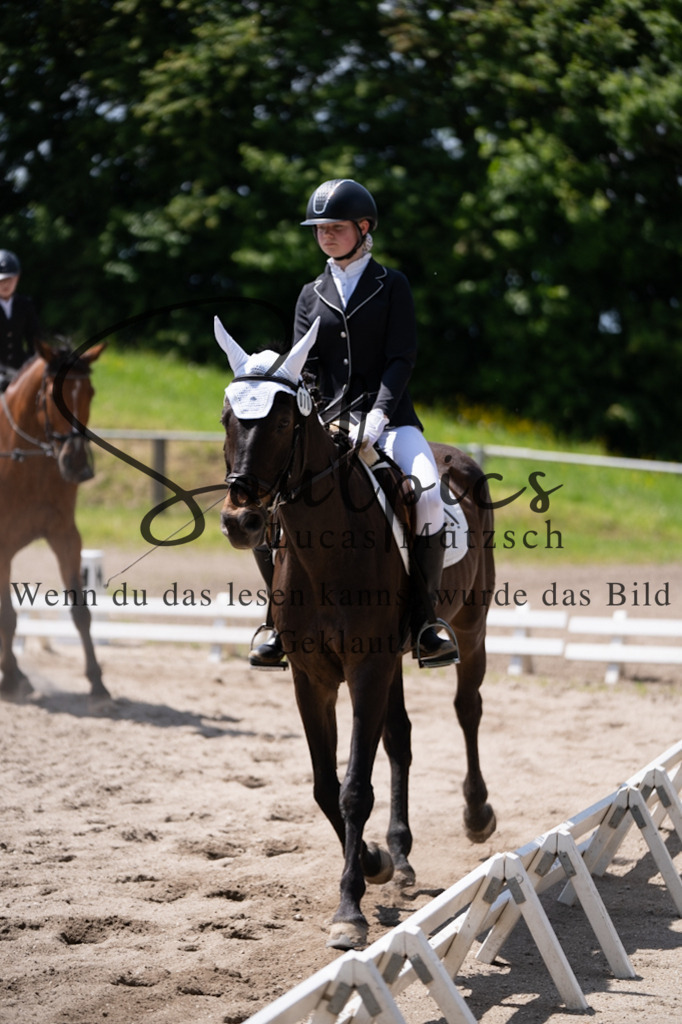 A7V02987 | Pferdefotograf