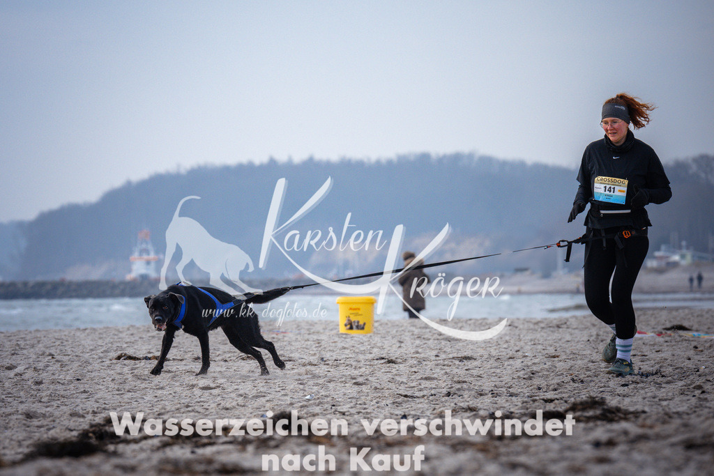 1036_ZZ95576 | kk-dogfotos