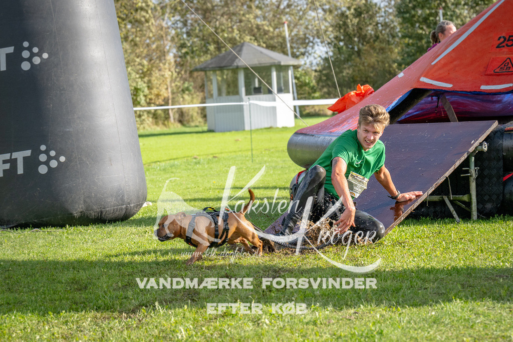 1206-92544 | kk-dogfotos