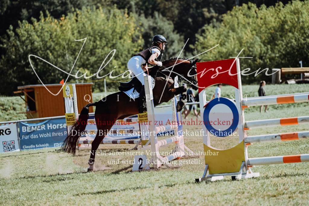 DSC_6824 | Pferde- und Turnierfotografie in Westsachsen. Pferdeportraits, Auftragszeichnungen und intuitive Kunst.