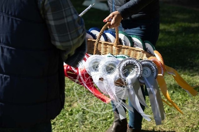 2B4A0494 | pixelfaenger - Realisiert mit Pictrs.com