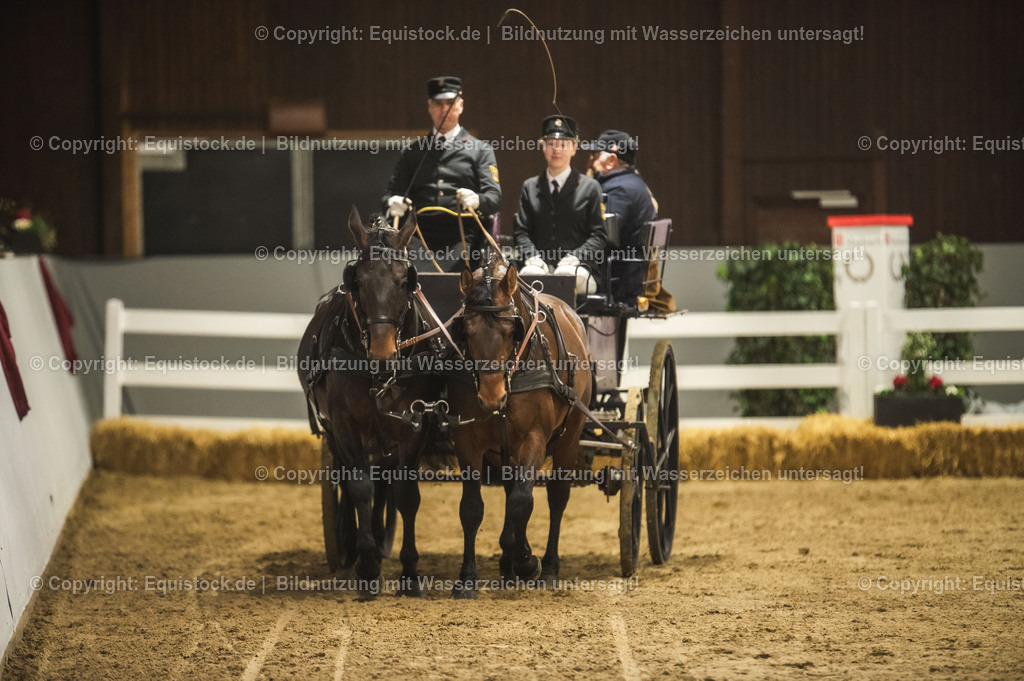 20240302_Hengstvorstellung_Marbach_TOMsPiC_0758 | equistock