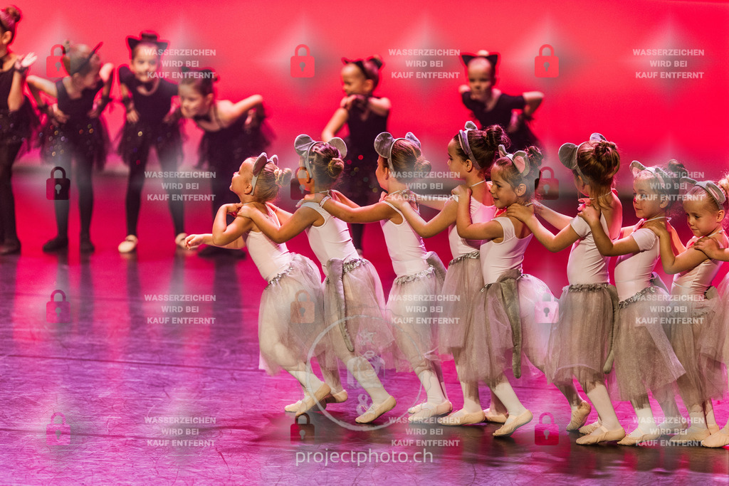 EXPORT_FULL-1-17 | projectphoto - Realisiert mit Pictrs.com