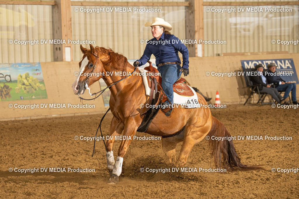 LAU00434 | dv-media-shop - Realisiert mit Pictrs.com