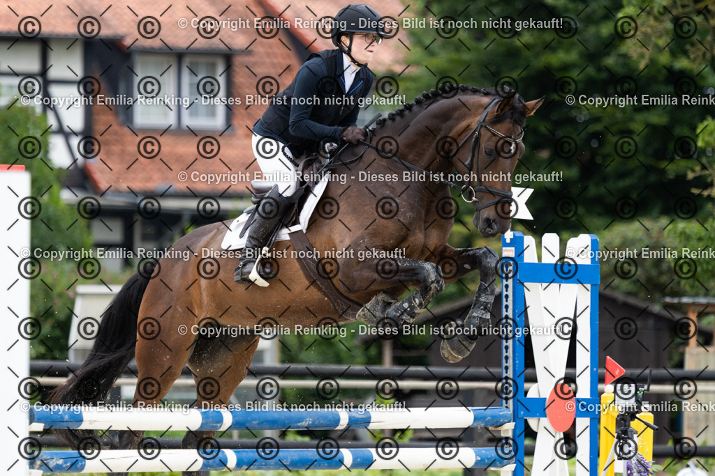 CL5A5007 | Emilia Reinking Fotografie - Realisiert mit Pictrs.com