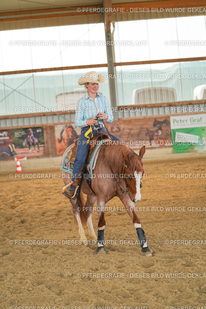 DSC08713 | Pferdegrafie