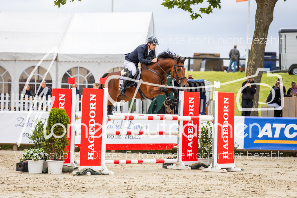 BHO-2PhSpr-M-5-2163 | MomenTaufnahmen Pferdesportfotos