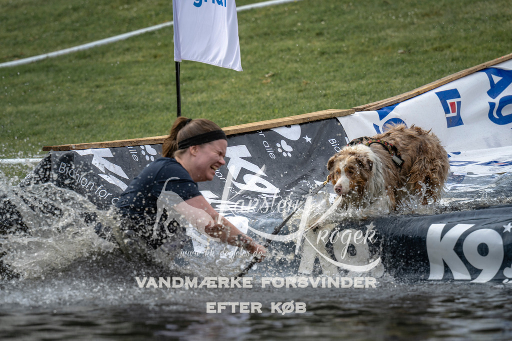 1546_ZZ96570 | kk-dogfotos