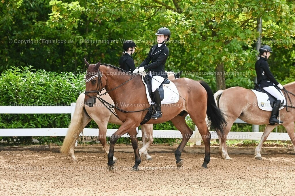 20230716_10-1_Reiter-WB Schritt - Trab - Galopp_0081 | equistock