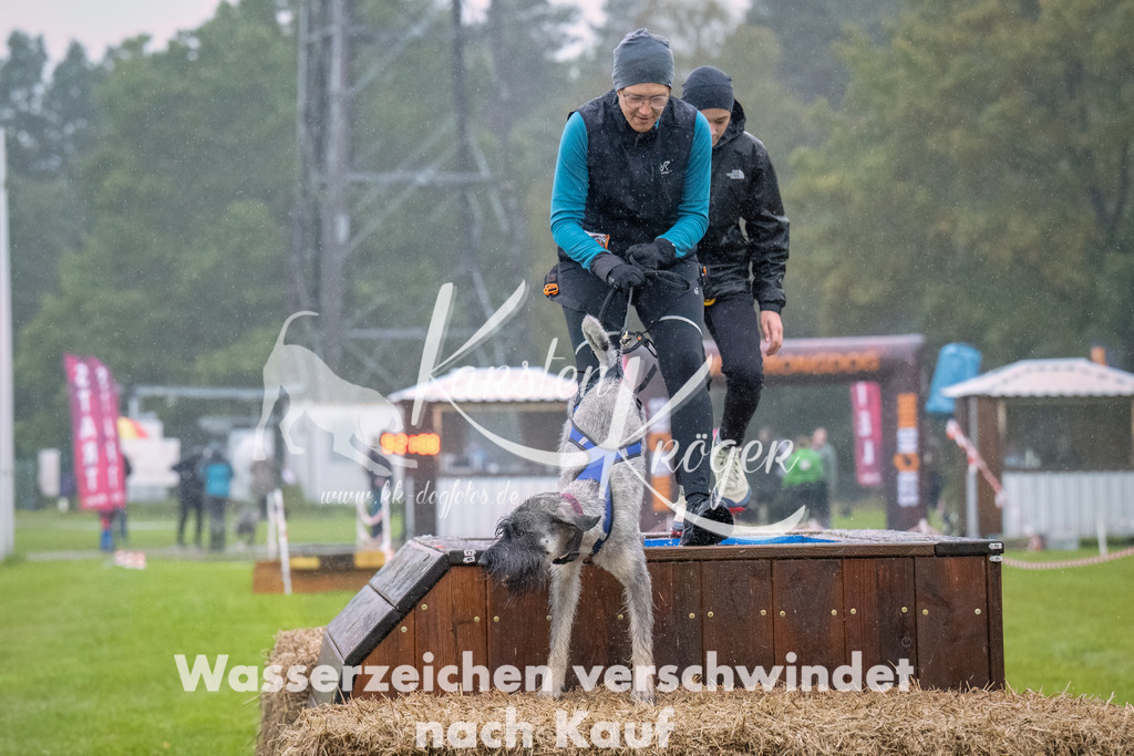 0922-_ZZ93919-Bearbeitet | kk-dogfotos