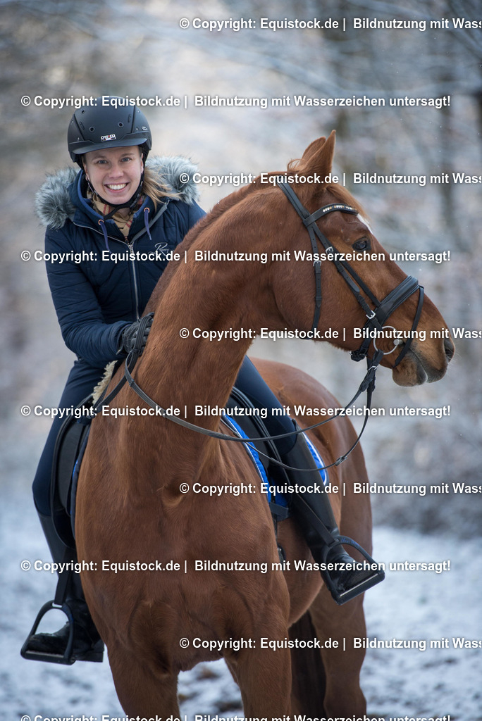 TS_20171201_Winterwald_Fuchs_0004 | Foto: Thomas Hartig