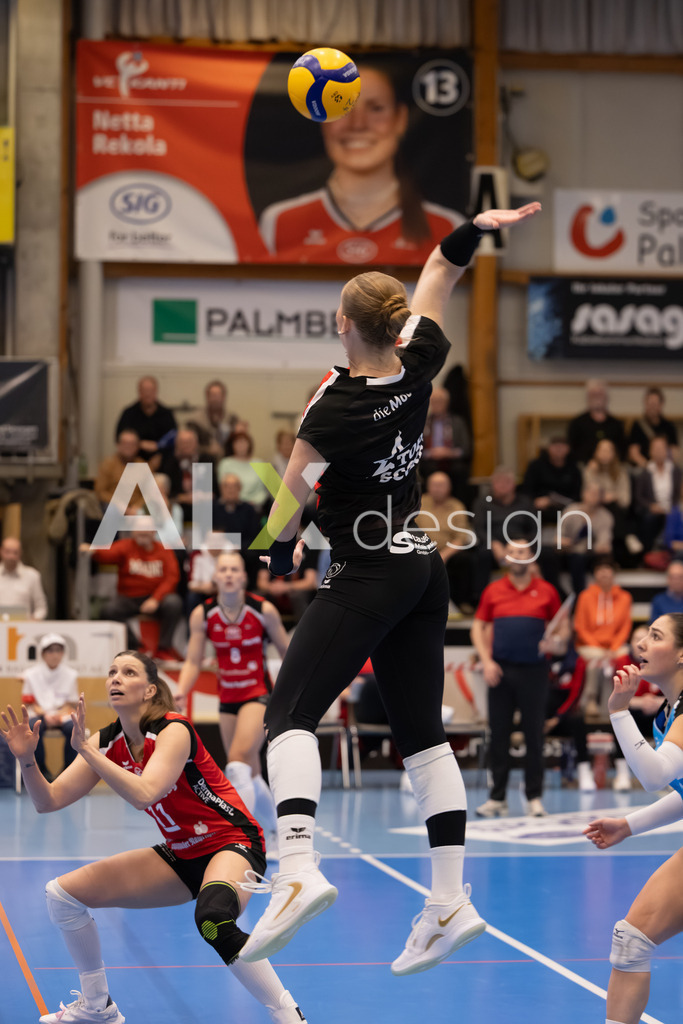Volleyball I Frauen I Saison 2025-2026 I Volleyball NLA | Women I Round 16 I VC Kanti Schaffhausen - Viteos NUC I 31.01.2026 | 9 Jordan Lockwood (USA) (VC Kanti Schaffhausen) – Diagonal - Realisiert mit Pictrs.com