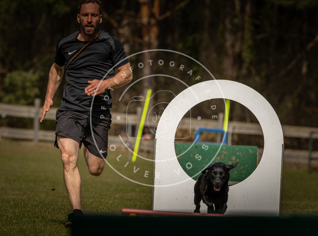 Pfotenfotografie_DV3A5277 | Hundefotografie, Tierfotograf, Pfotenfotografie, Fotoshooting Hund, Hunde Portrait, Hundesport, Hundeportraits, Heideshooting, Hunde, Sportfotograf, Hundefotograf, Turnierhundsport, THS,  - Realisiert mit Pictrs.com
