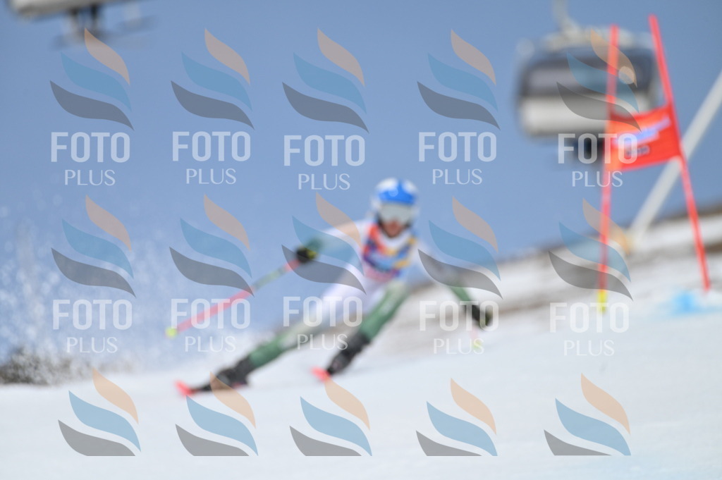 BGV_2673 | holidayphoto