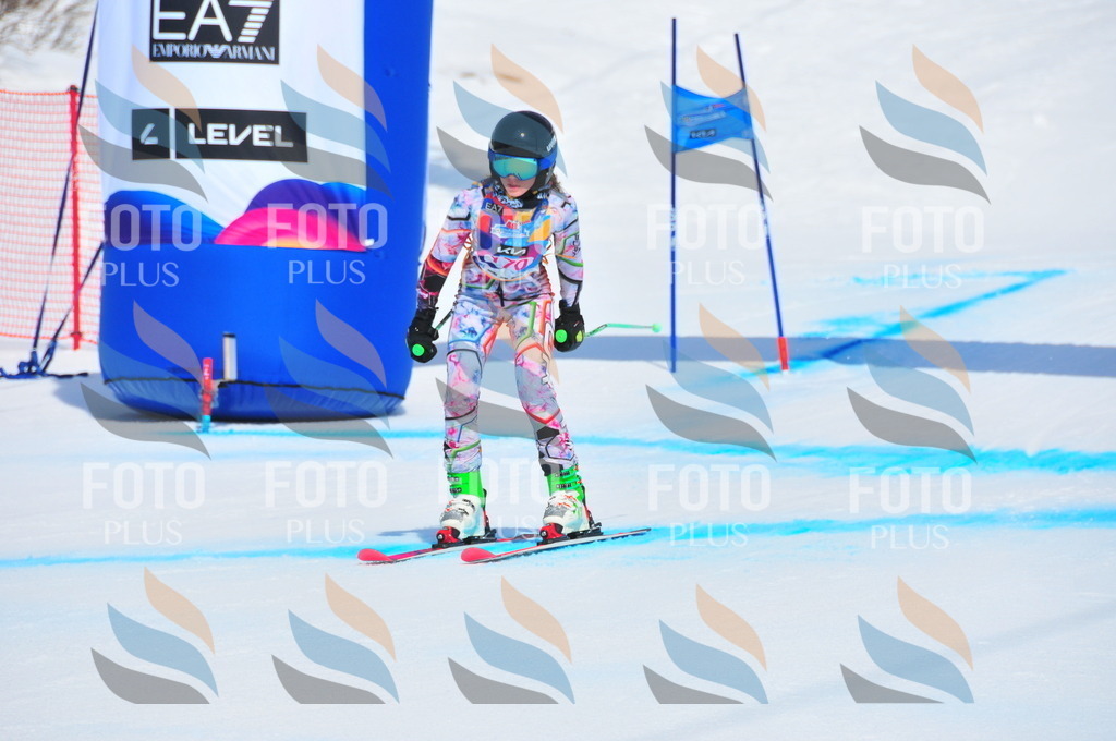 DSC_5261 | holidayphoto