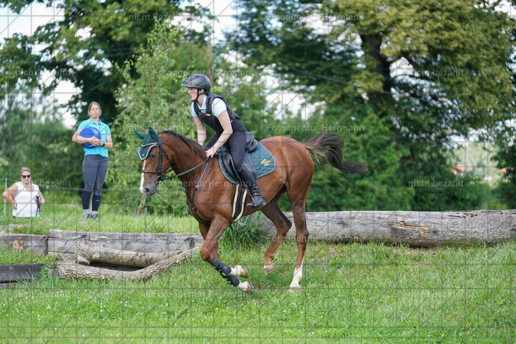 20240622-FAH07043 | Turnierfotografen Bayern, Reitsportbilder aus dem Geländekurs mit Felix Etzel auf dem Gut Waitzacker 2024