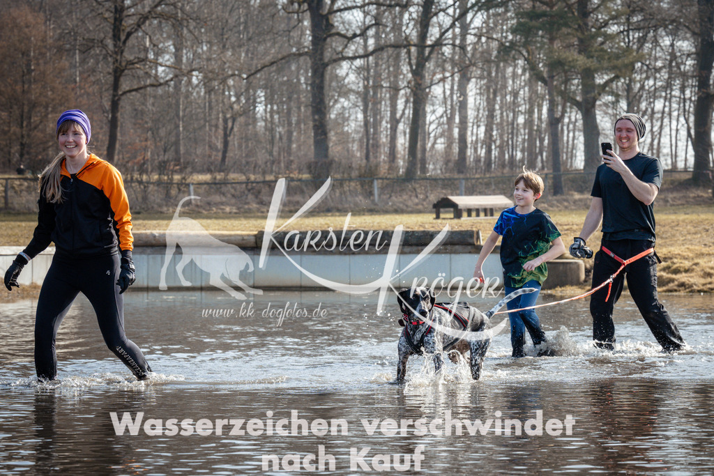 1115_ZZ93353 | kk-dogfotos