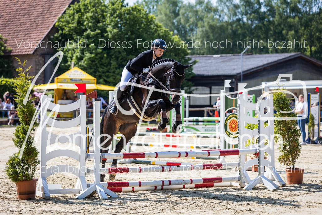 Donop24-ESpr-028 | MomenTaufnahmen Pferdesportfotos