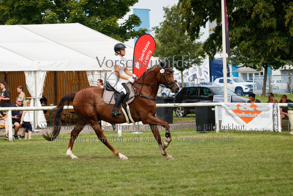 IMG_2985 | P. Berger Fotografie - Realisiert mit Pictrs.com